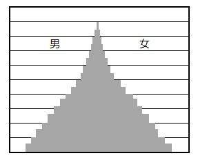 人口ピラミッドの富士山型